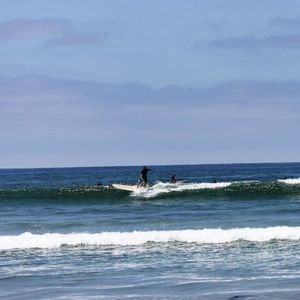 Meet your Posher, Reggie